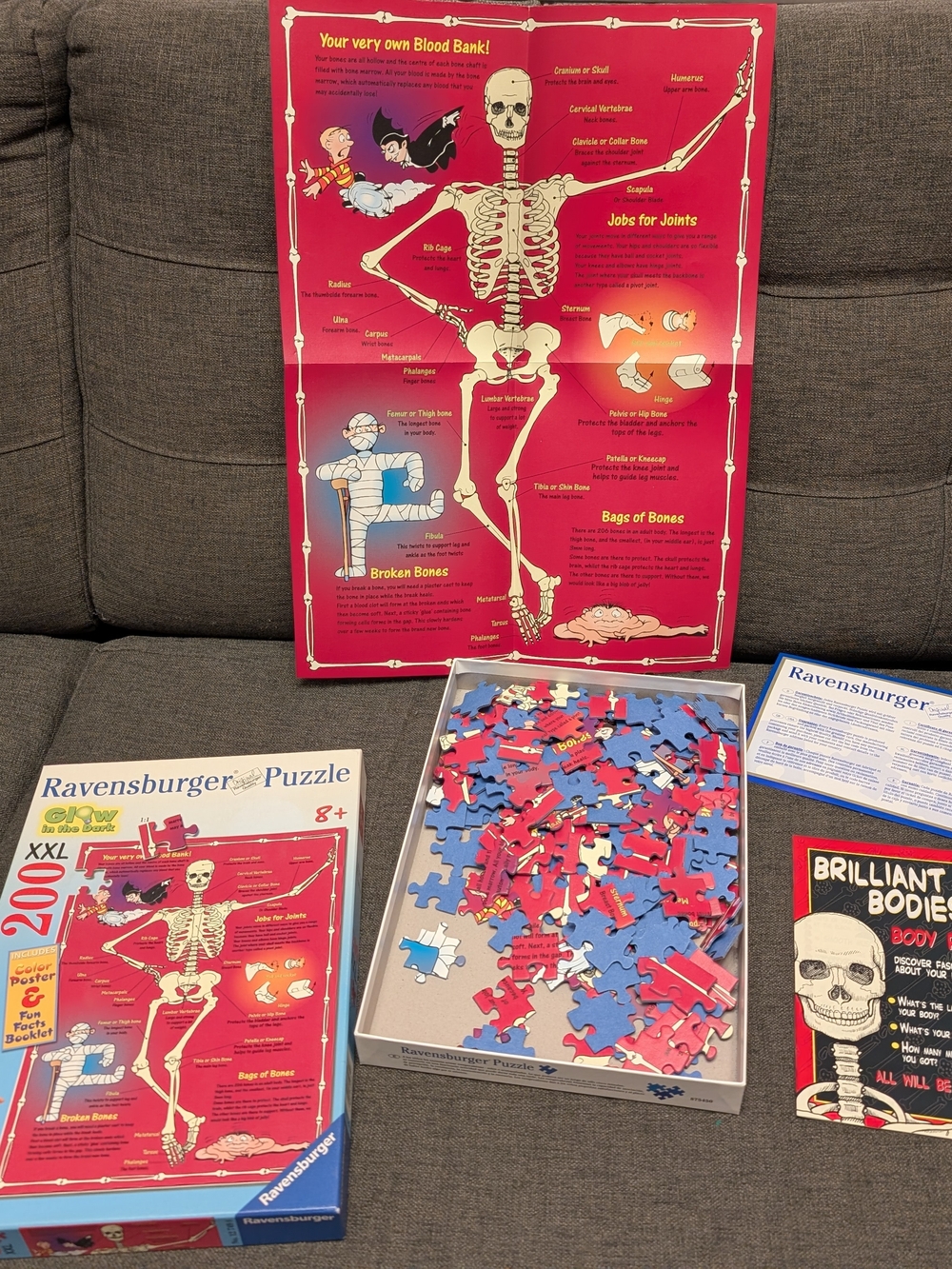 Ravensburger Brilliant Bodies Skeleton Puzzle - Red/Blue